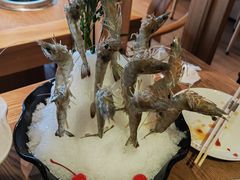 -尚海豆捞(乐虹坊店)