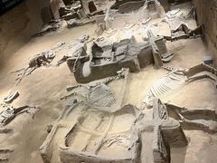 -洛阳周王城天子驾六博物馆