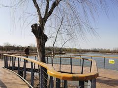 -东郊湿地公园