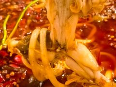 -鸿顺老铁锅美蛙鱼府(解放碑店)