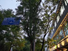 -三里屯东五街银杏大道