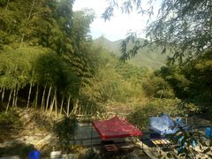 -宁波浙东大竹海景区