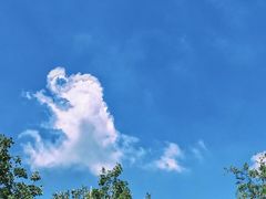 -春晖园度假酒店温泉