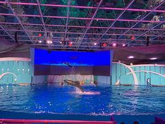 -海合安青岛极地海洋公园
