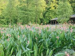 -重庆彩云湖湿地公园