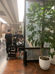 点击看大图 -扎嘎形象设计