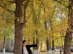 -辽宁大学(崇山校区)