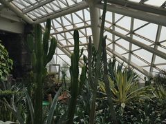 景点-西安世博园