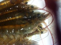 稻香酒家(富邦店)-稻香酒家·33年老字号·港式粤菜(富邦中心店)