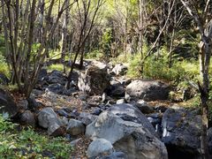 -云岫谷游猎自然风景区