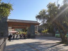 -青峰峡国家森林公园