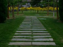android_upload_pic-永定门公园