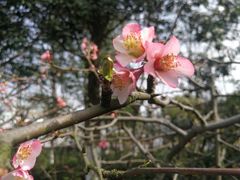 -白塘生态植物园