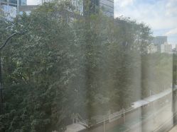 -上海首尔丽格医疗美容医院