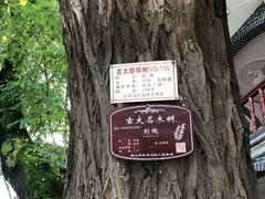 -遵义会议纪念馆