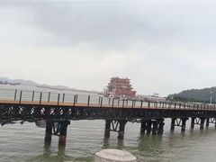 -野狸岛