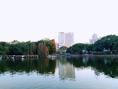 -荔湾湖公园