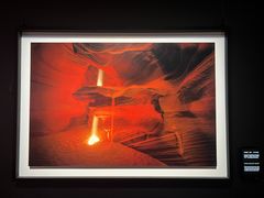 -罗红摄影艺术馆