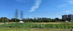 -268童话露营营地·烧烤·团建