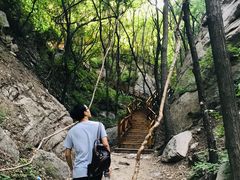 -大岭沟猕猴桃谷风景区