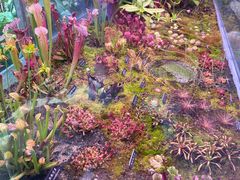 -中国科学院西双版纳热带植物园