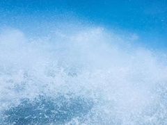 -东姑阿都拉曼海洋公园