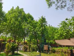 -Supine Bistro溯泮餐厅