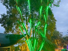 -马帮寨院坝火锅(龙港公园店)