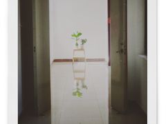 -芬芳甜品(同福路店)