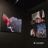 成都看展 | 向南生长✖️朱毁毁摄影展