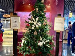 -北京朝阳悠唐皇冠假日酒店