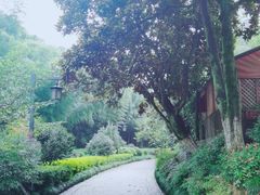 -杭州半山国家森林公园