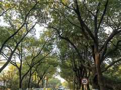 -江南大学(蠡湖校区)