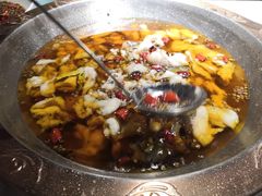 -雲蜀龙阁·金牌水煮鱼(方庄店)