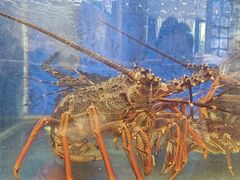-台鄉缘 ·小海鲜·台州菜(桃林路店)