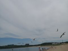 -海驴岛(荣成市)