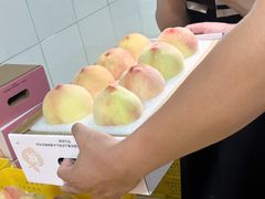 -老袁家蜜桃农场·阳山水蜜桃