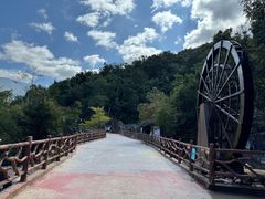 -海南霸王岭国家森林公园