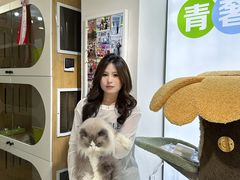 -青奢宠物·青奢猫舍