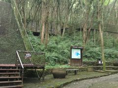 -富春桃源风景区