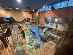 -卡通尼·Safari非洲探索乐园·生日会(金桥国际商业广场店)