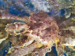 -众彩物流水产市场