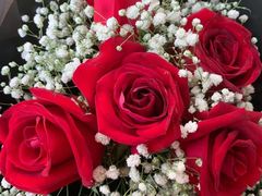 -循礼门鲜花花市(武汉循礼门店)