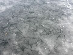 -前关湿地公园
