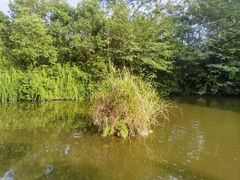 -茅庐·川粤精品私房菜(金沙遗址店)