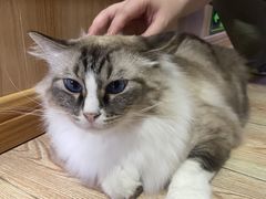 -白兔子密室(长寿路店)