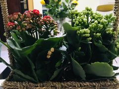 -双季花艺园艺市场(浦东店)