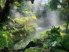 -Chom Cafe and Restaurant