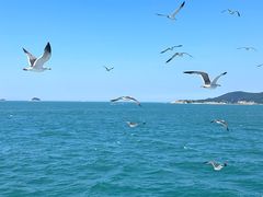 -海源公园