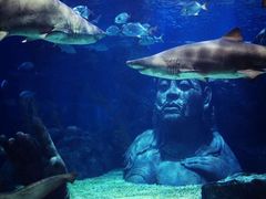 -暹罗海洋世界